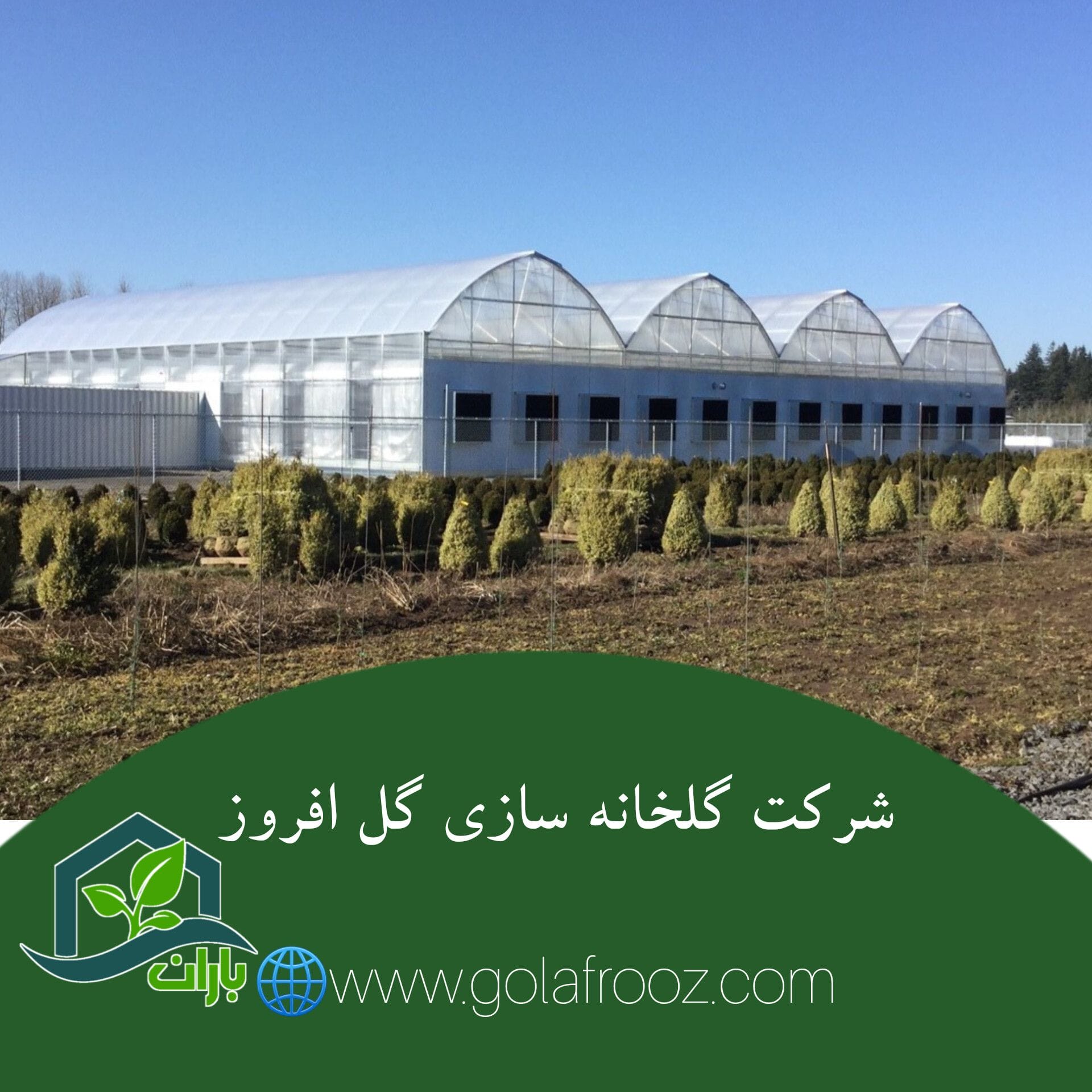 شرکت گلخانه سازی گل افروز