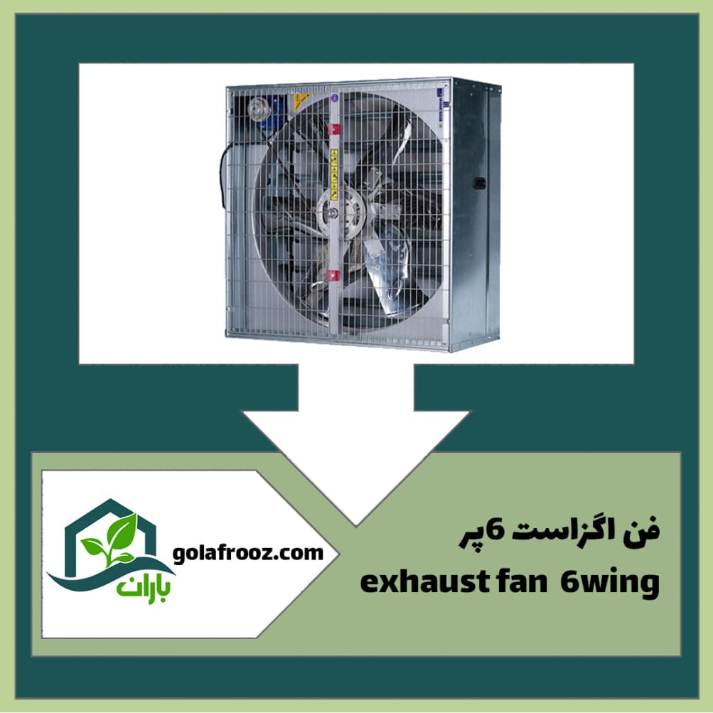 فن اگزاست 6