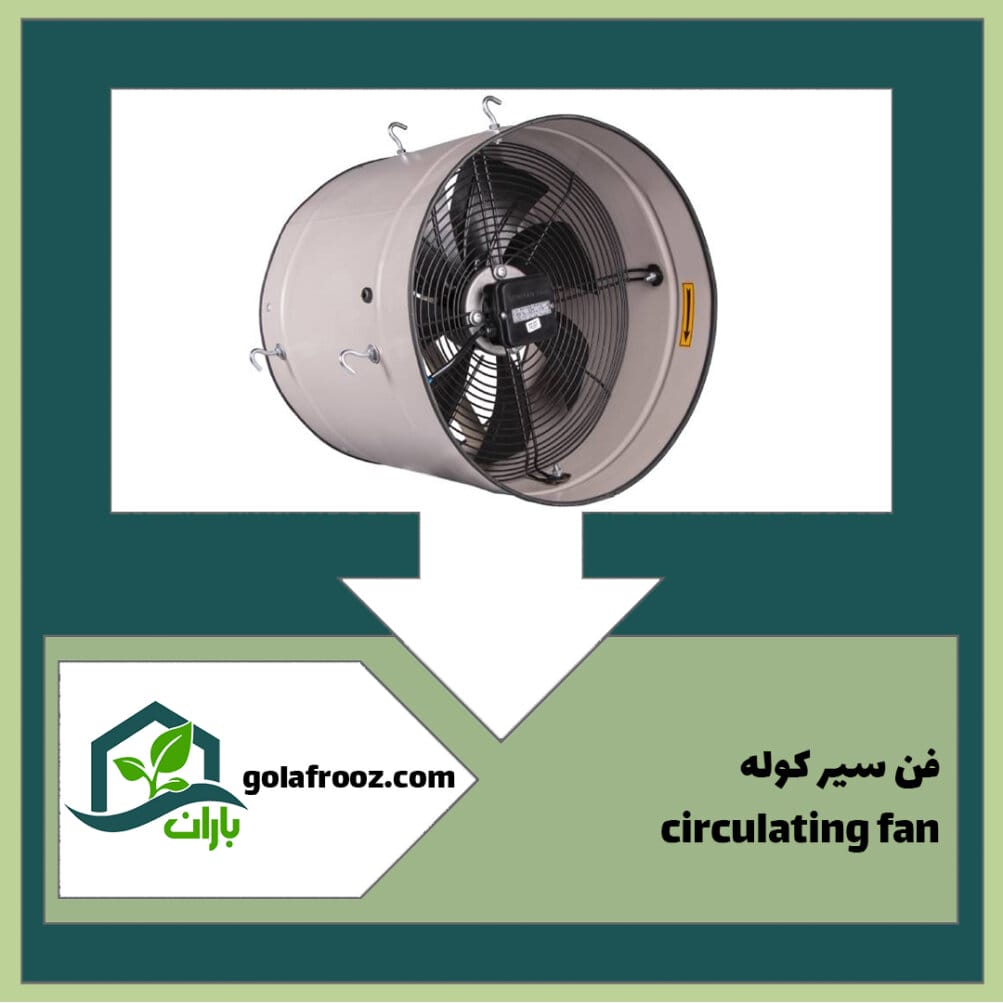 فن سیرکوله 50