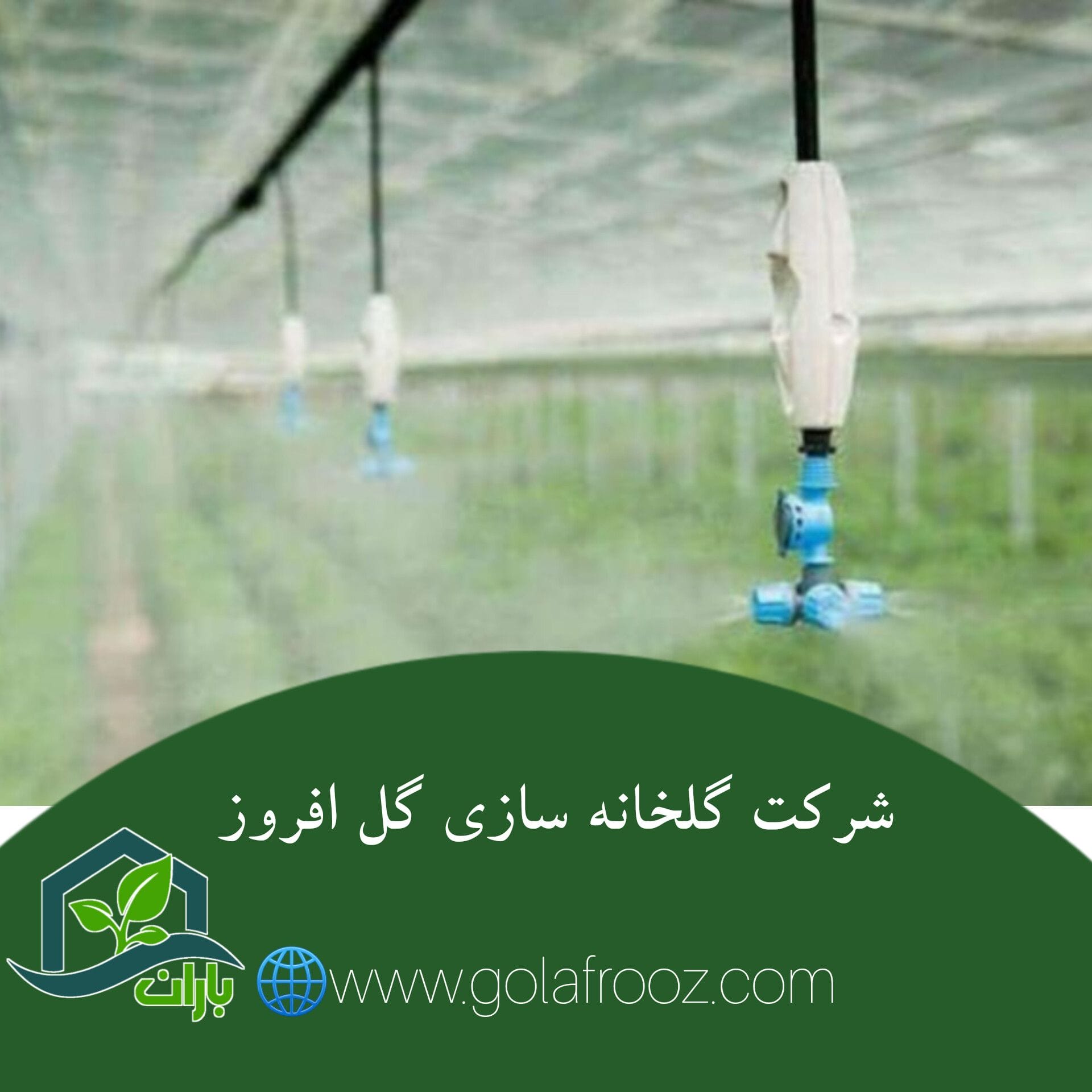 شرکت گلخانه سازی گل افروز