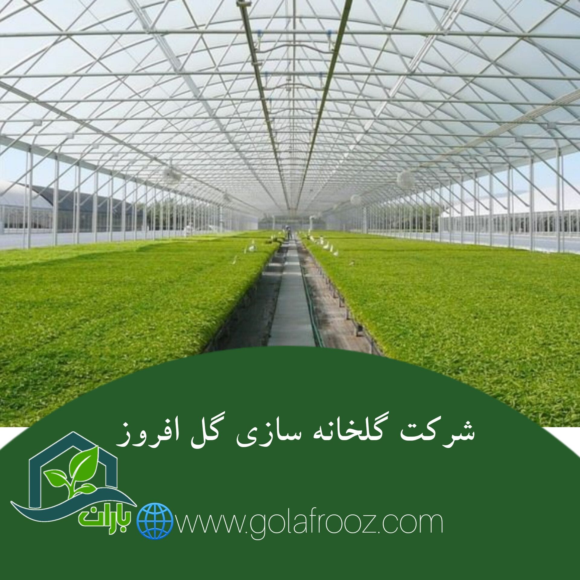 شرکت گلخانه سازی گل افروز