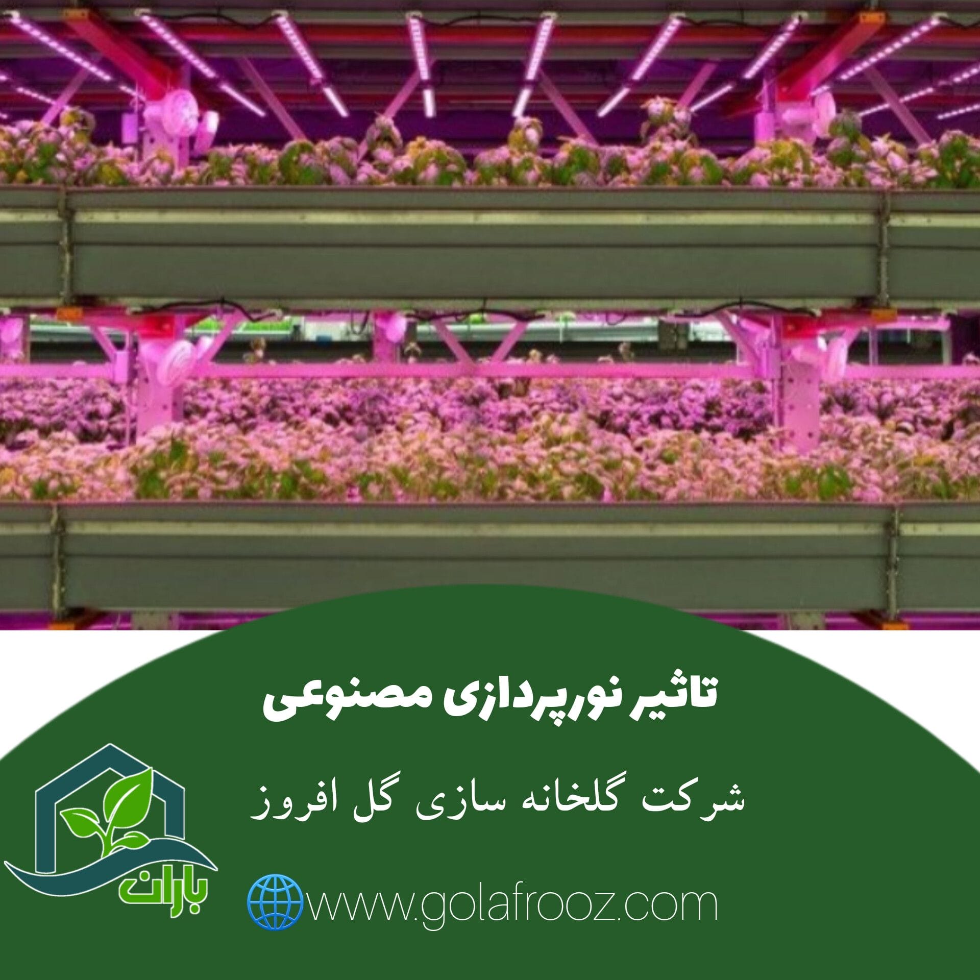 تاثیر نورپردازی مصنوعی