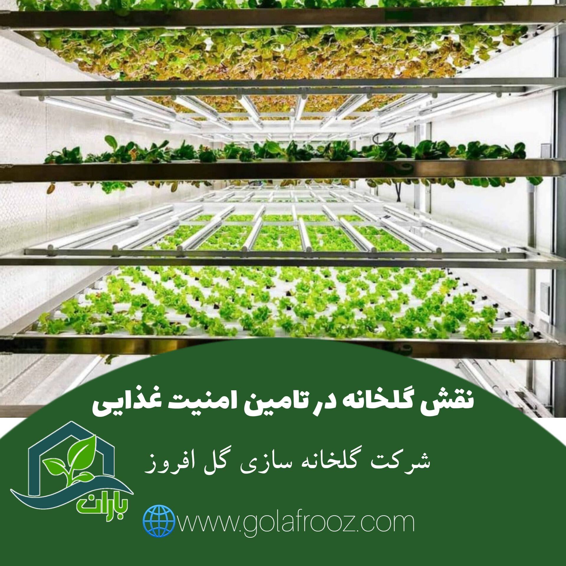 نقش گلخانه‌ ها در تأمین امنیت غذایی