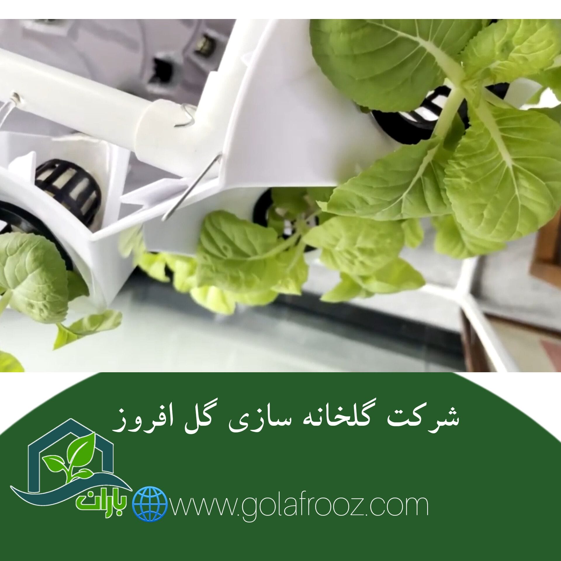 شرکت گلخانه سازی گل افروز